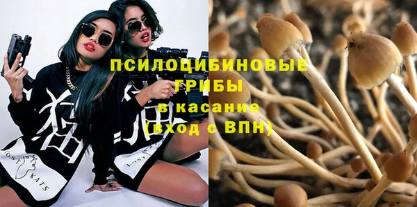 трава Бородино