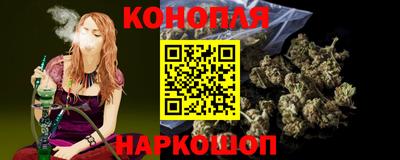 крисы Аргун