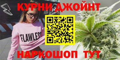 крисы Аргун