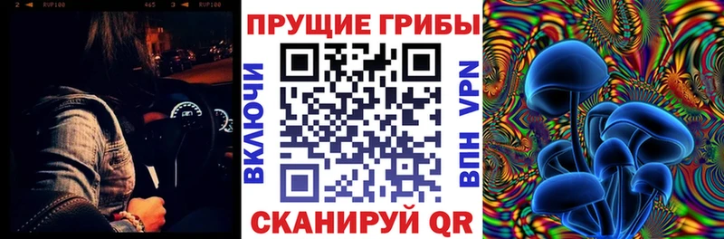 Псилоцибиновые грибы Psilocybe  продажа наркотиков  Верхний Уфалей 